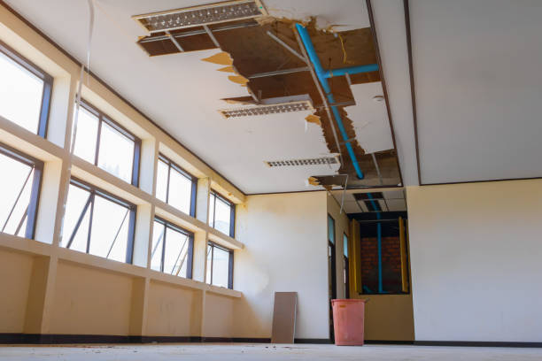 Best Water damage contractors near me  in Pelican Rapids, MN