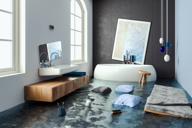 Best Commercial water damage restoration  in Pelican Rapids, MN