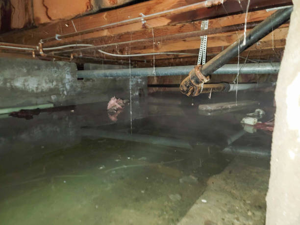 Best 24-hour water damage restoration  in Pelican Rapids, MN
