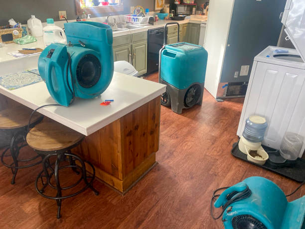 Best Water damage cleanup near me  in Pelican Rapids, MN
