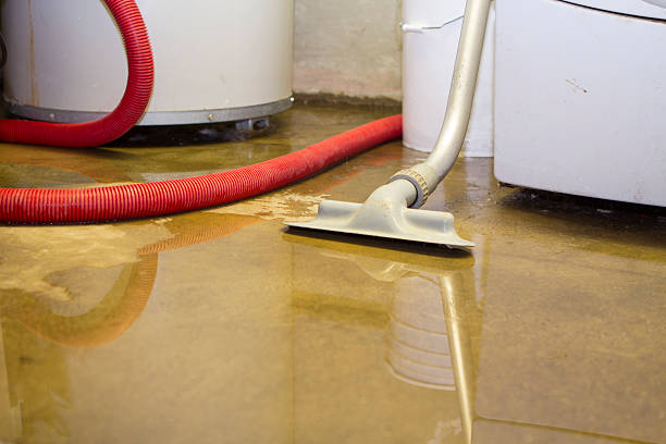 Best Basement water damage restoration  in Pelican Rapids, MN