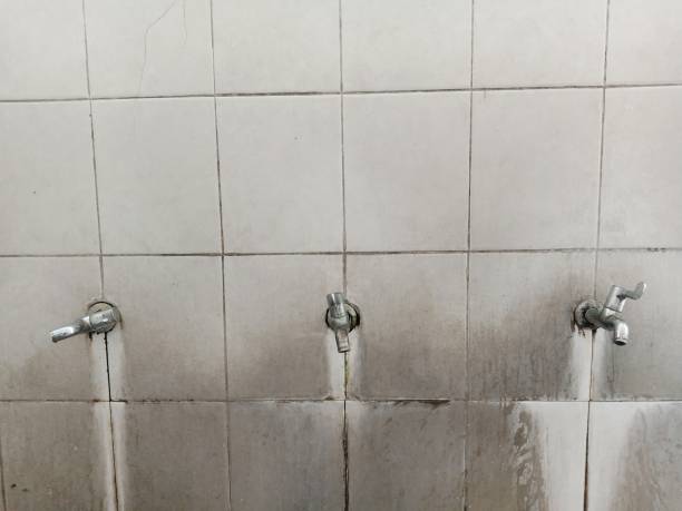 Best 24/7 water damage repair  in Pelican Rapids, MN