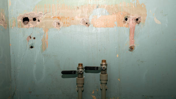 Best Sewage cleanup and water damage restoration  in Pelican Rapids, MN