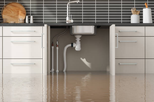 Best Water damage restoration near me  in Pelican Rapids, MN