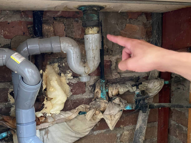 Best Carpet water damage restoration  in Pelican Rapids, MN