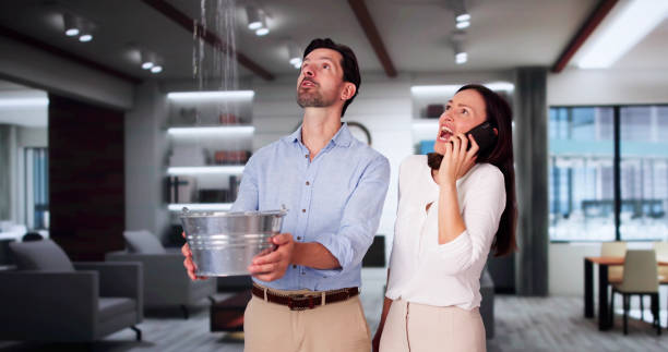 Best Commercial water damage restoration  in Pelican Rapids, MN