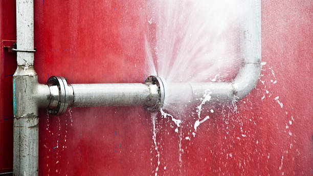 Best Fire Damage Restoration  in Pelican Rapids, MN